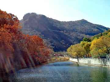 新澳天天开奖资料大全旅游团，免费穿越小说完结